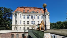 Remont zamku w Leśnicy