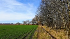 zielony KLIN południa