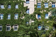 <p>Kamienice i detale architektoniczne na ulicy Nowowiejskiej i sąsiednich ulicach</p>
