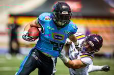Panthers Wrocław