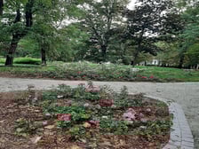 <p>Park Tadeusza R&oacute;żewicza</p>