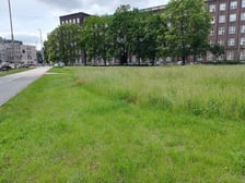 trawnik przy placu Społecznym