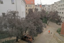 Podwórko przy ulicach Uniwersytecka / Szewska