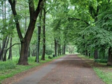 <p>Nowe lampy w Parku Szczytnickim</p>