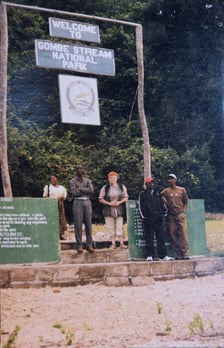 <p>Elżbieta Gajewska w Parku Narodowym Gombe w Tanzanii</p>