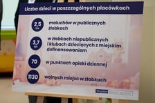Konferencja prasowa w sprawie rozwoju opieki wczesnodziecięcej i programu odpłatności za żłobki w związku z programem "Aktywny Rodzic" - 09.09.2024