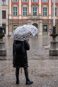 Deszcz we Wrocławiu