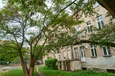 Wycinka drzew na kleczkowskim podwórku została na razie wstrzymana.