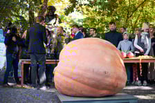 Festiwal Dyni w Ogrodzie Botanicznym 2022
