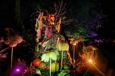 Dyniowe, wieczorne iluminacje w Ogrodzie Botanicznym