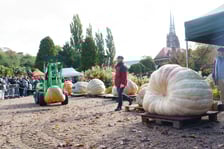 21. Festiwal Dyni we wrocławskim Ogrodzie Botanicznym