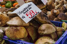 Stoiska z grzybami w Hali Targowej we Wrocławiu