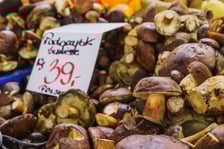 Stoiska z grzybami w Hali Targowej we Wrocławiu
