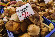 Stoiska z grzybami w Hali Targowej we Wrocławiu