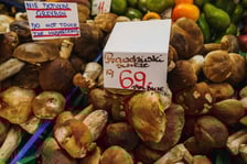 Stoiska z grzybami w Hali Targowej we Wrocławiu