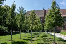 Zagospodarowanie wód opadowych na terenie Wrocławia
