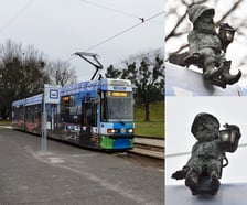 Krasnal Świetlik
