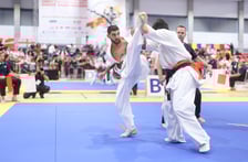 Mistrzostwa Europy w karate we Wrocławiu