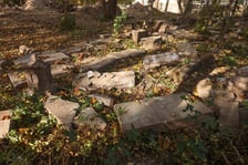 <p>Stele odkryte na gruzowisku na cmentarzu przy ul. Krzyckiej na Krzykach</p>