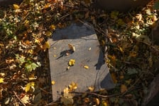 <p>Stele odkryte na gruzowisku na cmentarzu przy ul. Krzyckiej na Krzykach</p>