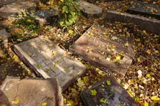 <p>Stele odkryte na gruzowisku na cmentarzu przy ul. Krzyckiej na Krzykach</p>
