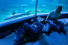 1. Nocowanie w Afrukarium, wrzesień 2024