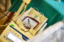 Jesienna Wampiriada na Uniwersytecie Ekonomicznym we Wrocławiu, 19-20 listopada 2024