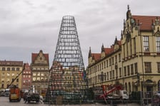 Montaż nowej choinki w Rynku we Wrocławiu - zdjęcia z 19.11.2024