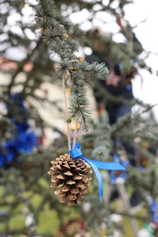 <p>Wigilia Leśnicka na Złotnikach (przy Centrum Aktywności Lokalnej przy Wielkopolskiej 7)</p>