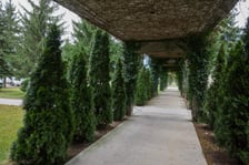 <p>Pergola pod Wrocławiem przypomina tę przy Hali Stulecia.</p>