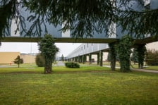 <p>W rzeczywistości pergola podpiera długi na 200 metr&oacute;w korytarz.</p>