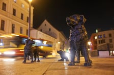 Choinka na Psim Polu