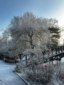 <p>Ogr&oacute;d botaniczny otwarty jest dla zwiedzających w weekendy od 9:30 do 17:00.</p>