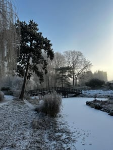 <p>Ogr&oacute;d botaniczny w zimowej odsłonie.</p>