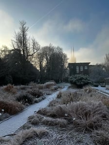 <p>Ogr&oacute;d botaniczny w zimowej odsłonie.</p>