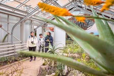Ogród botaniczny zimą jest piękny. Na zewnątrz śnieg, a w szklarniach przenosimy się do innej strefy klimatycznej
