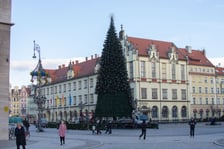 Demontaż choinki na wrocławskim Rynku