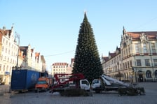 Coraz mniej choinki na Rynku. Trwa jej rozbieranie