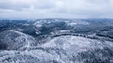 Widok z wieży widokowej na Dolnym Śląsku