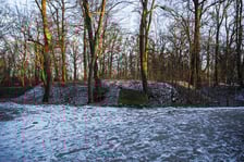 <p>Teren dawnego dworu rodziny Dumlose w Sołtysowicach</p>