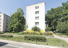 Wizualizacja zieleńca - nowe nasadzenia