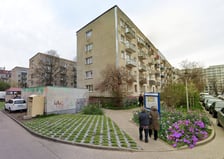 Wizualizacja zieleńca - nowe nasadzenia, m.in. róże