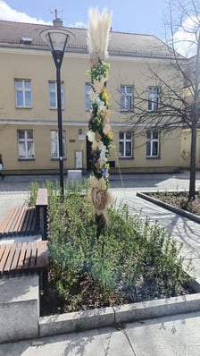 <p>Palmy na Rynku Psiego Pola to już tradycja</p>