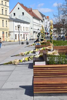 <p>Palmy na Rynku Psiego Pola to już tradycja</p>