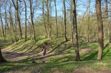 <p>Gr&oacute;dek typu motte Złotniki Małe w parku Złotnickim</p>
