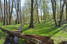 <p>Gr&oacute;dek typu motte Złotniki Małe w parku Złotnickim</p>