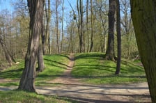 <p>Gr&oacute;dek typu motte Złotniki Małe w parku Złotnickim</p>
