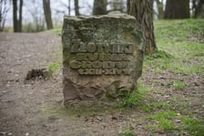 <p>Gr&oacute;dek typu motte Złotniki Małe w parku Złotnickim</p>