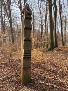 <p>Podczas wycieczki warto wziąc pod uwagę cały Las Bukowy</p>