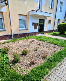 Dodatkowe nasadzenia zieleni, stacje do naprawy rowerów gotowe do użytku na osiedlach TBS Wrocław